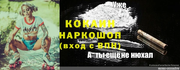 прущие грибы Володарск