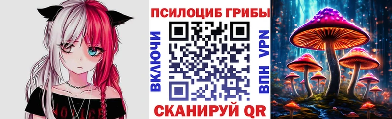 ОМГ ОМГ вход  Змеиногорск  Псилоцибиновые грибы прущие грибы 
