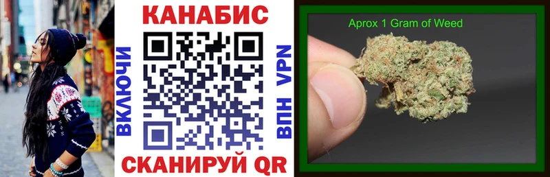 где найти Змеиногорск Конопля индика